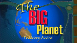 Teddybear auction Instructional Video