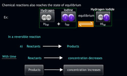 Chemical Equilibrium & Dynamic Equilibrium Instructional Video