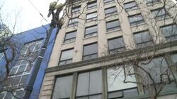 VOICED : San Francisco residents protest against S News Clip