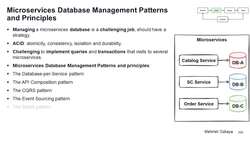 Design Microservices Architecture with Patterns and Principles - Microservices Database Management Patterns and Principles Instructional Video