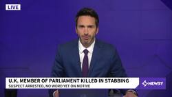 Authorities Call Fatal Stabbing Of UK Lawmaker Terrorist Act News Clip