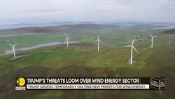 Donald Trump threat looms over wind energy sector News Clip