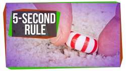 Is the Five-Second Rule Real? Instructional Video