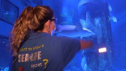 Merlin Entertainments prepare to reopen London attractions News Clip