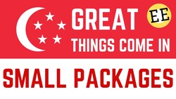 The Economic Powerhouse of Singapore: Foreign Investment Instructional Video