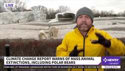 U.N. Climate Change Report Warns Of Mass Animal Extinctions News Clip