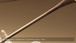 What Are the Highlights of the Bellagio Las Vegas? Instructional Video