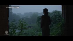 Best films of 2015: Eli Glasner's picks News Clip