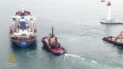 Odesa ports vital for Ukraine's economy struggle to stay open amid war and Russian attacks News Clip