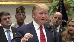 Trump response to Democrats: 'Witch hunt continues' News Clip