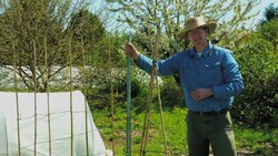 Garden Trellis Ideas for Tomatoes and Other Crops Instructional Video