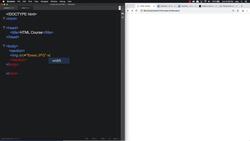 HTML CSS and JavaScript for Beginners - A Web Design Course - Exercise 4: Images Instructional Video