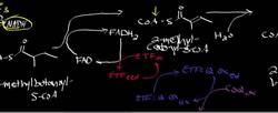 Isoleucine Deamination and Oxidation Instructional Video
