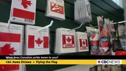 What does Canadian pride mean to people in Ottawa? News Clip