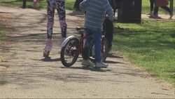 Family walking in a park News Clip