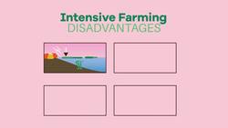 Modern Agriculture and Fishing Instructional Video