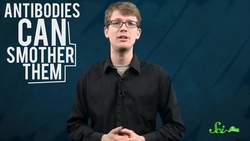 How To Make Antivenom Instructional Video