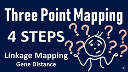 Three Point Mapping Instructional Video