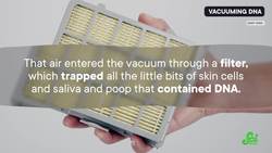 Counting Species out of Thin Air Instructional Video