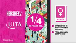 What Does It Take to Be an S&P 500 CEO? News Clip