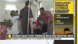 Bangladesh: Spread Of Deadly Dengue Fever In Bangladesh Alarms Authorities | World News | WION News Clip