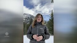 Rona Ambrose staying out of Conservative leadership race News Clip