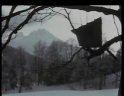 Blondi and employees at Berghof Stock Footage