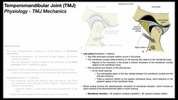Temporomandibular Joint 😲 | Biomechanics Part 1/2 Instructional Video