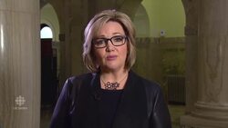 Sandra Jansen and the flood of abuse News Clip