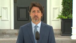 Trudeau describes his discussions with Trump today News Clip