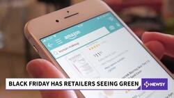 U.S. Shoppers Head To Stores For Black Friday Bargains News Clip