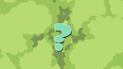 I WONDER - How Did Hedgehogs Get Their Name? Instructional Video