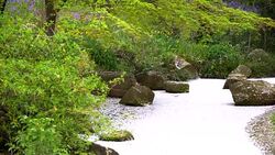 Cherry Blossom aka Sakura Leaf Falling on the Ground in the water in Tokyo Japan Stock Footage