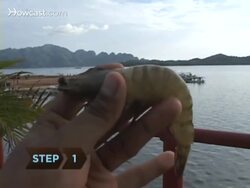 How to Devein a Shrimp Instructional Video