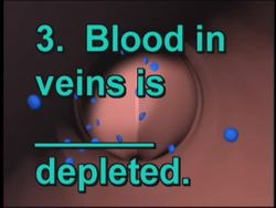 Circulation and Respiration Quiz Instructional Video