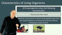 Characteristics of Living Organisms Instructional Video