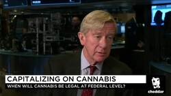 Bill Weld: "Dominoes Are Falling" to Legalize Weed News Clip