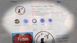 Kane in Your Corner exclusive: Animal 'rescue' exposed News Clip