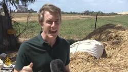 Gaza attacks: Fear, finality, and farewells as bombs rained down News Clip