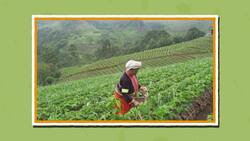 I WONDER - How Did Stone Age People Get Their Food?
 Me Pregunto - Cómo Obtenían Su Comida Las Personas De La Edad De Piedra? Instructional Video