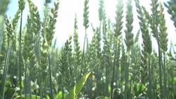 What is Environmental Justice? Understanding Fair Treatment for All Instructional Video