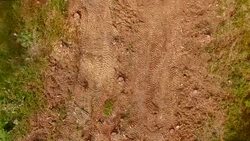 Logging clear cut AERIAL Stock Footage