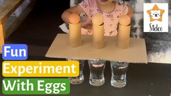 Egg Drop Inertia Science Experiment Instructional Video