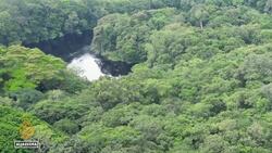 DRC peatlands at risk: Massive threat from oil exploration News Clip