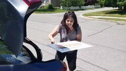 Pandemic Diaries: A global experience News Clip