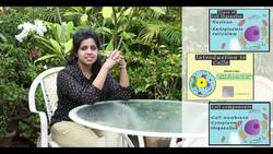 The Science Behind Nails: How Do They Grow? Instructional Video