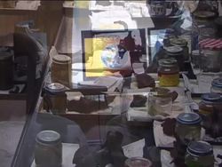 What Is Science?: Careers in Science Instructional Video