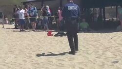 Small plane crashes in Oaxaca, Mexico News Clip