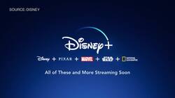 Disney Hopes to Bounce Back and Welcome Tourists Again News Clip