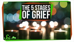 The Truth About the Five Stages of Grief Instructional Video